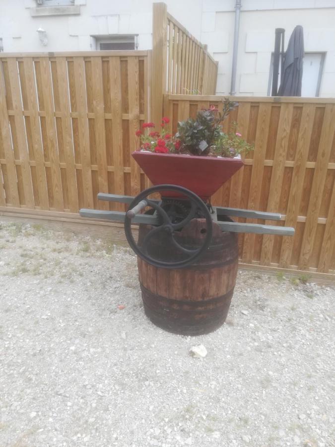 Les Gites De La Musardiere Meusnes Exterior foto